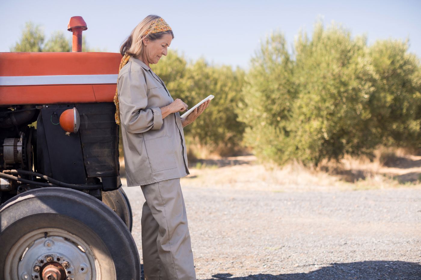 Un’agricoltrice legge il consiglio irriguo su un tablet accanto al trattore, con degli ulivi alle spalle