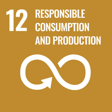 Obiettivo 12: Consumo e produzione responsabili