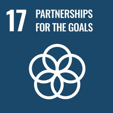 Obiettivo 17: Partnership per gli obiettivi